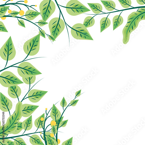 frame of leafs naturals isolated icon