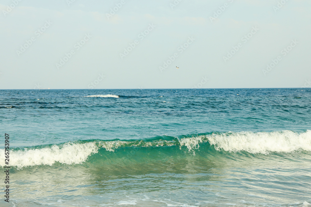 Blue sea water with small waves against sky. Space for text
