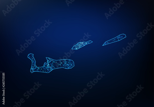 Abstract of cayman Islands map network, internet and global connection concept, Wire Frame 3D mesh polygonal network line, design sphere, dot and structure. Vector illustration eps 10.