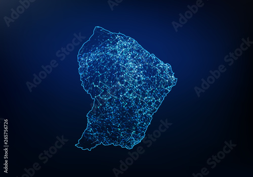 Abstract of french Guiana map network, internet and global connection concept, Wire Frame 3D mesh polygonal network line, design sphere, dot and structure. Vector illustration eps 10.