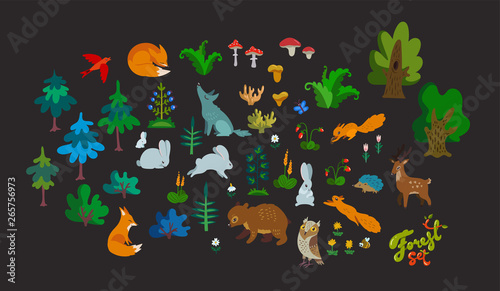 Vector big set of forest elements isolated on dark background. Color cute animal characters, trees and herbs for baby design.