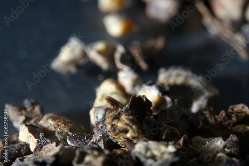 Dried herbs for seasoning spices in best studio quality photographed partly isolated against black background 