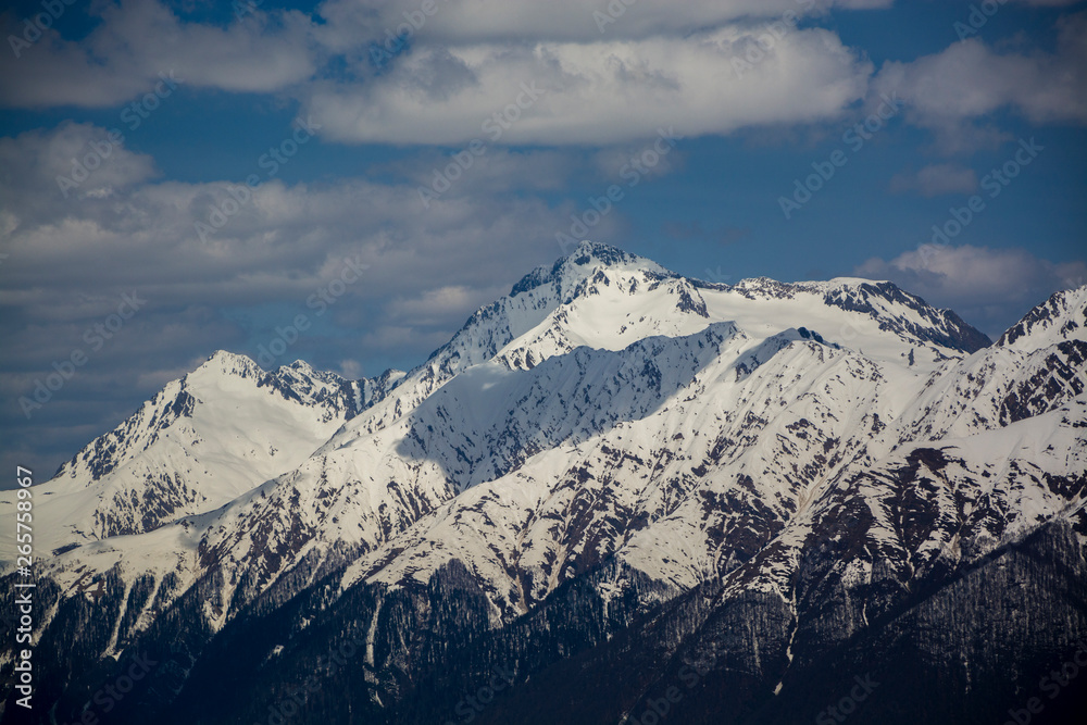 Naklejka premium mountains in winter