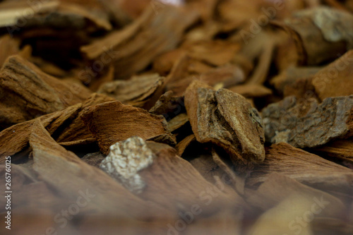 Dry  Quinine herb for medicine photo