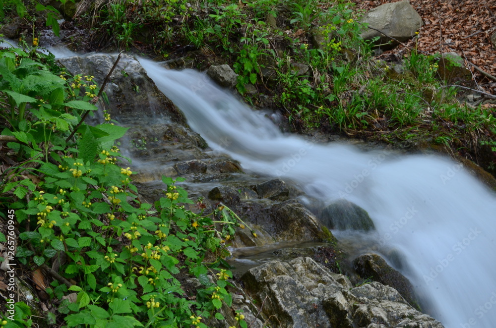 beautiful waterfall with clear water on a mountain stream in the forest beautiful waterfall with clear water on a mountain stream in the forest