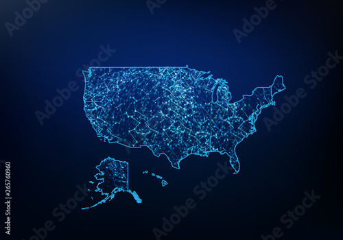 Abstract of United State oF America map network, internet and global connection concept, Wire Frame 3D mesh polygonal network line, design sphere, dot and structure. Vector illustration eps 10.