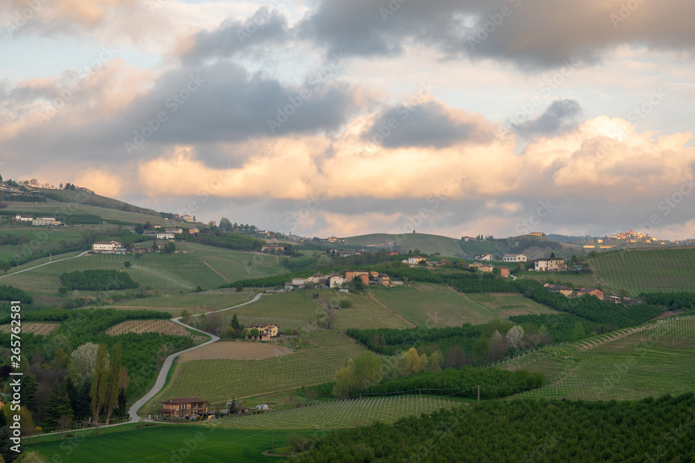 Panoramic view of the vineyard hills of the Langhe region in Piedmont, become Unesco World Heritage Site since 2014, with a cloudy blue sky in springtime, Italy 