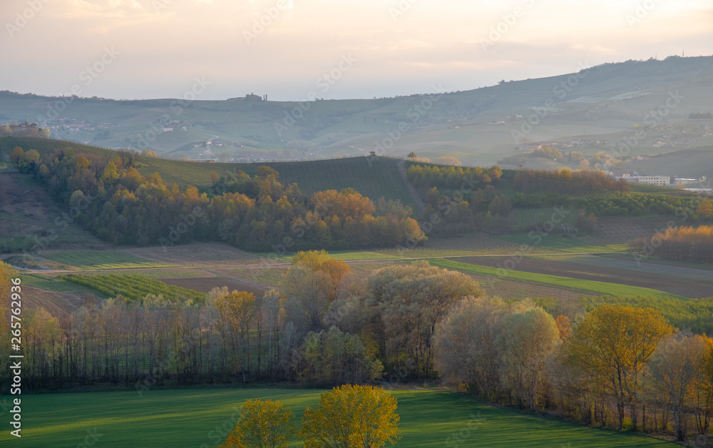 Obraz premium High angle, panoramic view of the vineyard hills of the Langhe region in Piedmont, become Unesco World Heritage Site since 2014, at sunset in springtime, Italy 