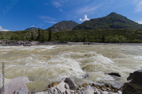 Rapid current of the Chuya River in Mountains Altai. Summer time. Rocky coast.