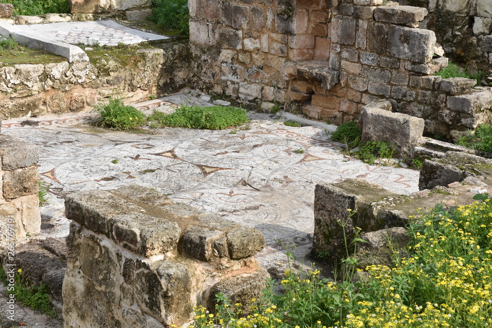 Ancient Tile Mosaic Floor, Tyre Archaeological Site, Full-Frame, Lebanon