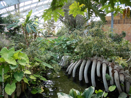 La planète des crocodiles, Civaux, Poitou, France