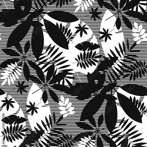 Concept scattered tropical ...