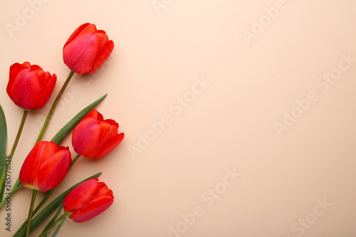 Fototapeta Naklejka Na Ścianę i Meble -  Spring flowers. Bouquet of Red tulips on beige background.