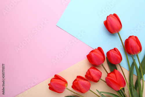 Spring flowers. Bouquet of Red tulips on colorful background.