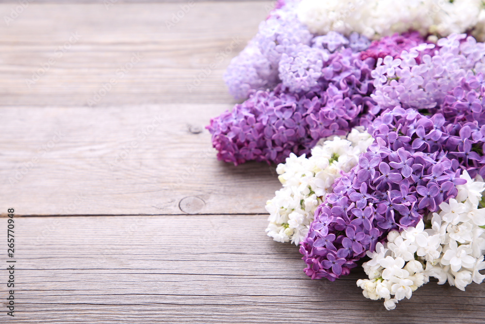 Lilac flowers branch on grey background with sample text, frame Lilac flowers branch on grey background with sample text, frame
