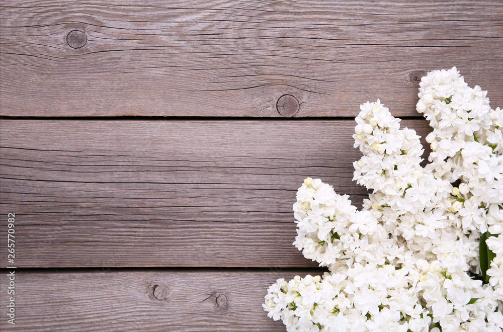 White lilac flowers branch on grey background with sample text, frame White lilac flowers branch on grey background with sample text, frame