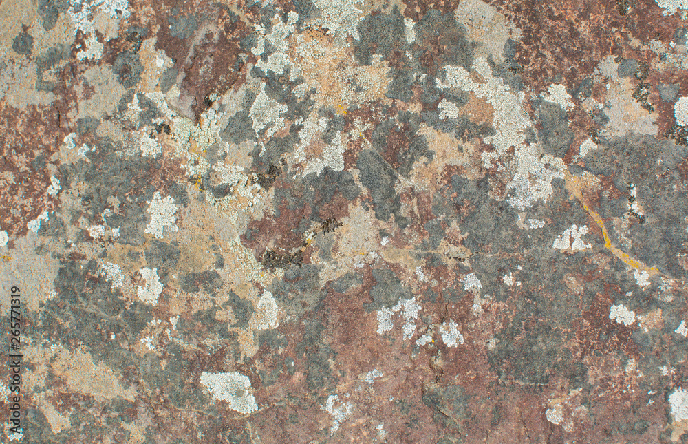 Stone texture. Lichens. Natural background. Abstract patterns