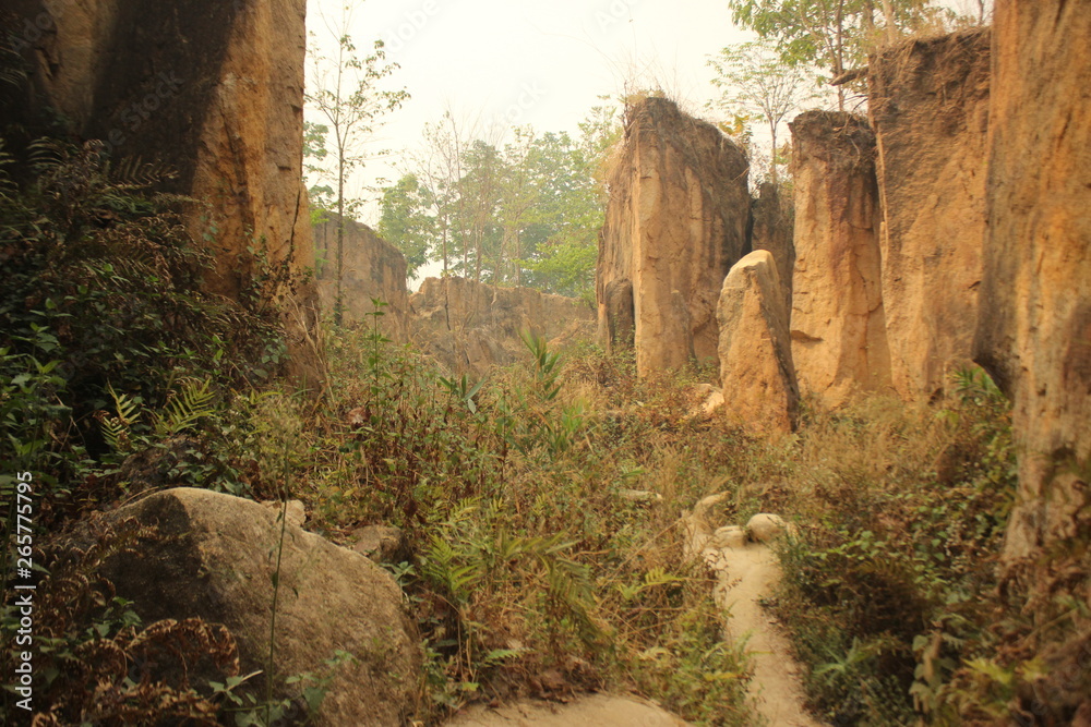sandstone or limestone canyon walls seen from the canyon floor at an eroded land split in Northern Thailand, Southeast Asia