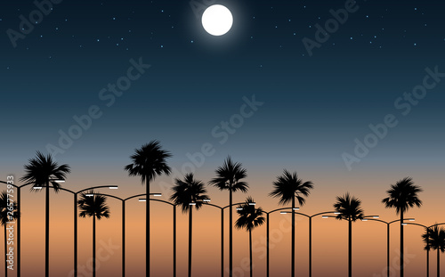 landscape of road at the beach in sunset