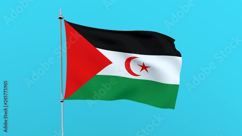 Flag of the country    West Bank on blue background. 3D rendering