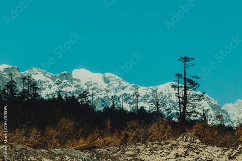 View of alps in Yumthang valley