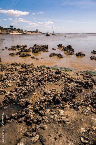 Rochers à marée basse
