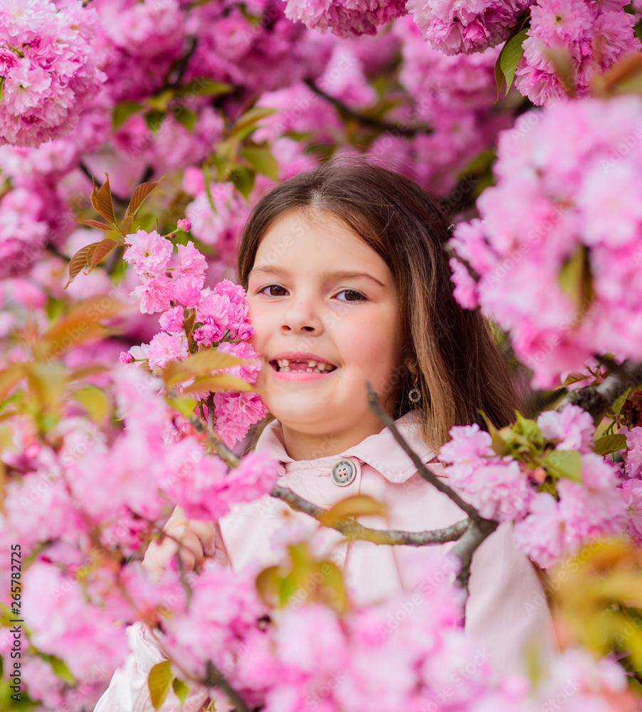 Girl enjoying floral aroma. Kid on pink flowers sakura tree background. Child enjoy life without allergy. Sniffing flowers. Allergy remedy. Pollen allergy concept. Get rid of seasonal allergy Girl enjoying floral aroma. Kid on pink flowers sakura tree background. Child enjoy life without allergy. Sniffing flowers. Allergy remedy. Pollen allergy concept. Get rid of seasonal allergy