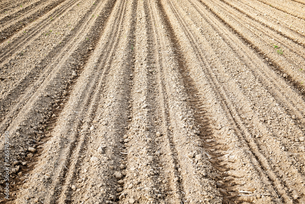 Ploughed field soil texture with tracks Ploughed field soil texture with tracks