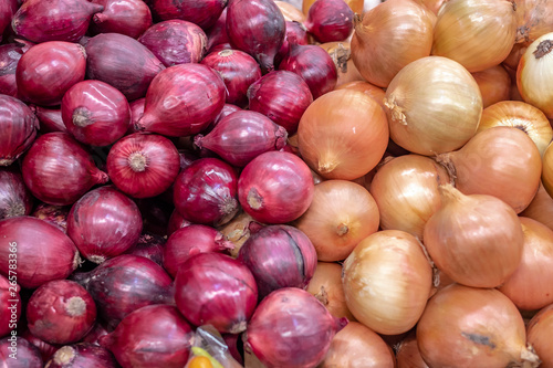 Quadro em tela The difference type between shallot and onion
