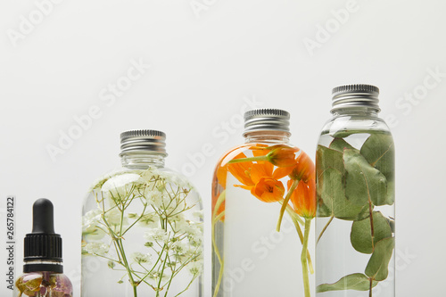organic beauty products in transparent bottles with herbs, leaves and wildflowers isolated on grey