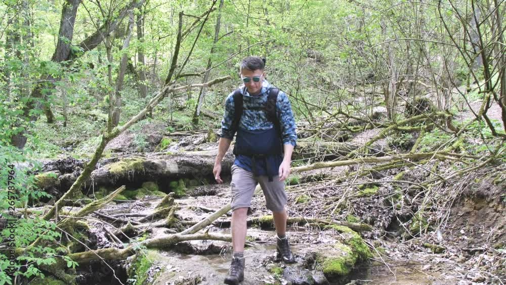 wandern im wald wandern im wald