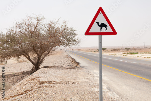 Big nice road sign attention camels