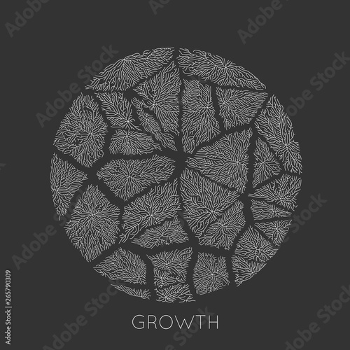 Vector generative branch growth pattern. Round cracked texture. Lichen like organic structure with veins. Monocrome round biological net of vessels.