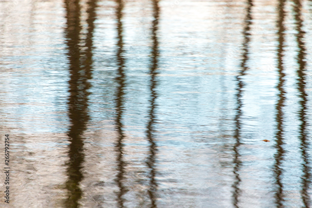 Trees with reflection in a pond in autumn Trees with reflection in a pond in autumn