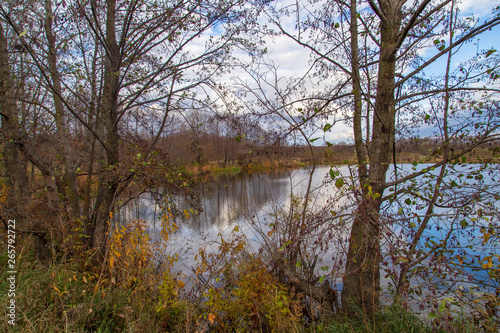Pond in nature in autumn © schankz