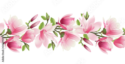 Magnolia Flowers. A branch of magnolia with pink flowers and leaves on a white background. Spring flowers in vector. Vector illustration.