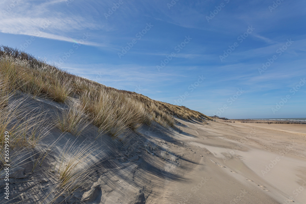 Fototapeta premium Cold Wind at Domburg Beach / Netherlands