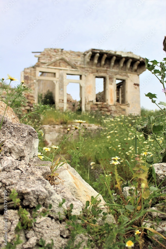 Ruin and the flowers