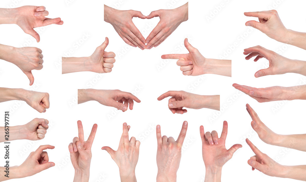 Male hand gestures isolated over the white background, set of multiple images. Images set of male caucasian hand gestures isolated on white background Male hand gestures isolated over the white background, set of multiple images. Images set of male caucasian hand gestures isolated on white background