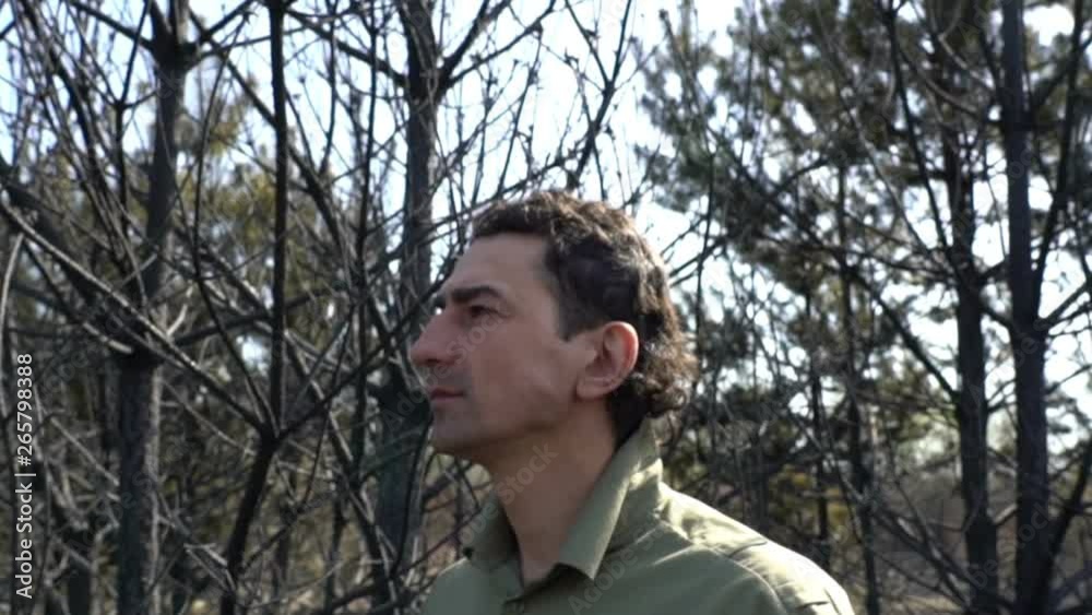 Man in despair standing in burned forest af wildfire, ecological catastrophe disaster Man in despair standing in burned forest af wildfire, ecological catastrophe disaster