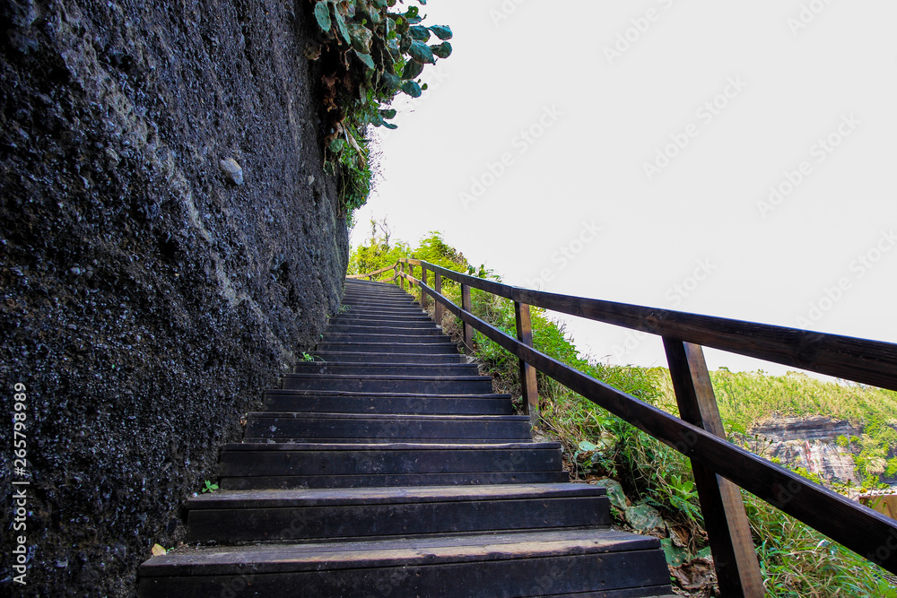 Fototapeta premium The staircase up the hill is in the forest.