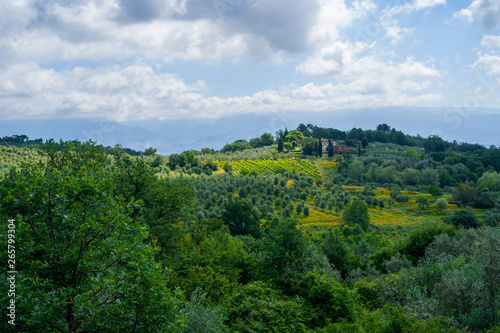 Unique tuscany landscape. A lonely farmhouse with olive trees, rolling hills, Tuscany, Italy. Travel. Beautiful destination. Holiday outdoor vacation trip. © eskstock