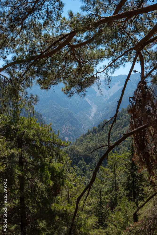 Summer natural views and landscape of the Samaria Gorge. Crete. Greece.