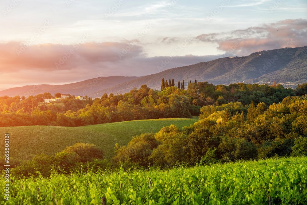 Scenic mountain landscape with vineyards growing on hills and old picturesque town in in Tuscanyl. Travel and wine-making background.