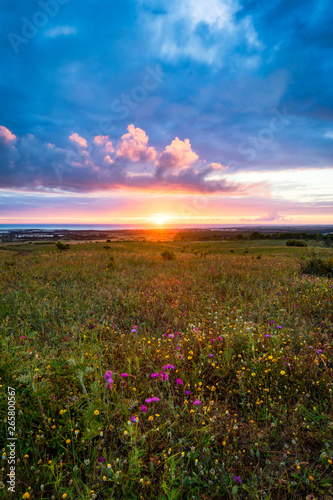 Sunset on the horizon with sky over a rural field and the sea in the background. Sunset, Sunrise over rural meadow field. Countryside landscape with scenic summer dramatic sky in sunset dawn sunrise.