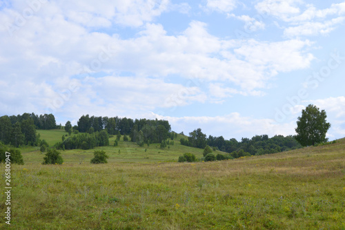 Summer landscape