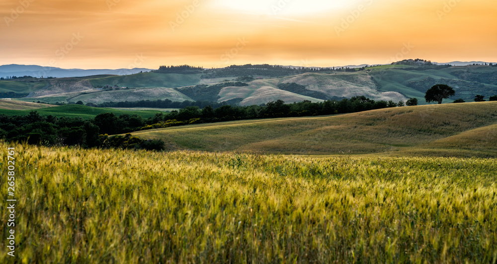 Tuscany, rural sunset landscape. Cypress trees, sun light and clouds. Siena province, Tuscany, Italy, Europe. Golden autumn. Countryside, green and gold fields. Agro tour of Europe.