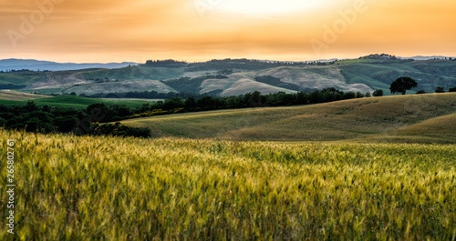 Tuscany, rural sunset landscape. Cypress trees, sun light and clouds. Siena province, Tuscany, Italy, Europe. Golden autumn. Countryside, green and gold fields. Agro tour of Europe.