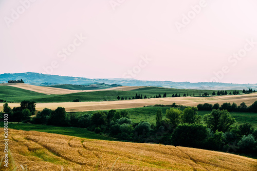 Siena province, Tuscany, Italy. Tuscan hills during harvest period. Unique landscape with rolling hills. Travel. Beautiful destination. Vacation trip.