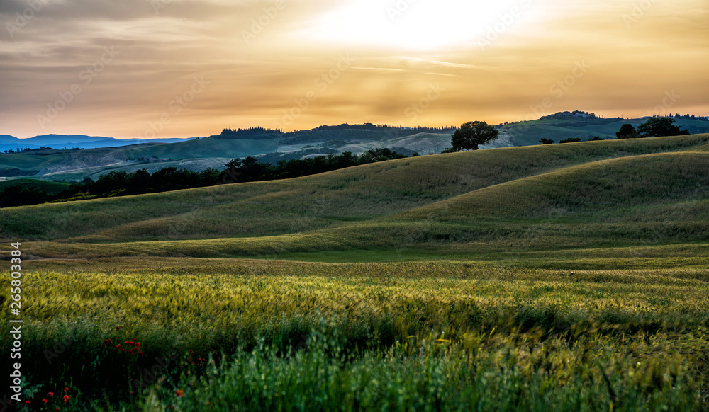Scenic Tuscany landscape with rolling hills and valleys in golden evening light, Italy.